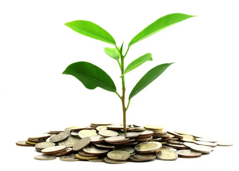 Инвестиции SKF в сохранение экологии | Свежие новости в Ставрополе